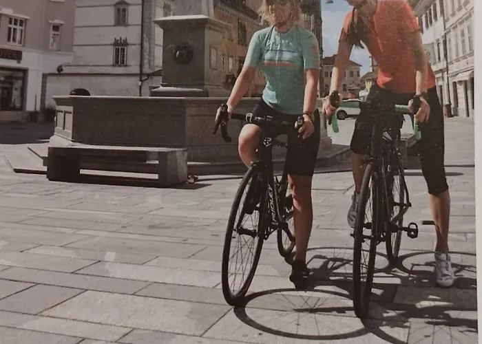 Apartmaji Stars Mavcice